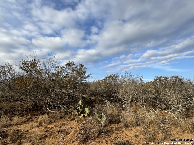 Image 13 of 33 For Tbd County Road 765