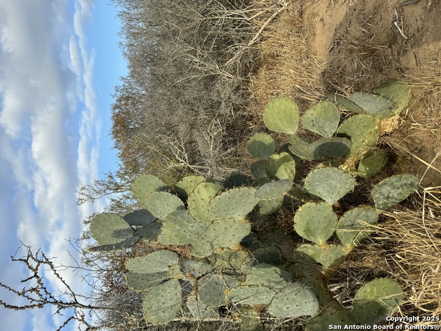 Image 15 of 33 For Tbd County Road 765