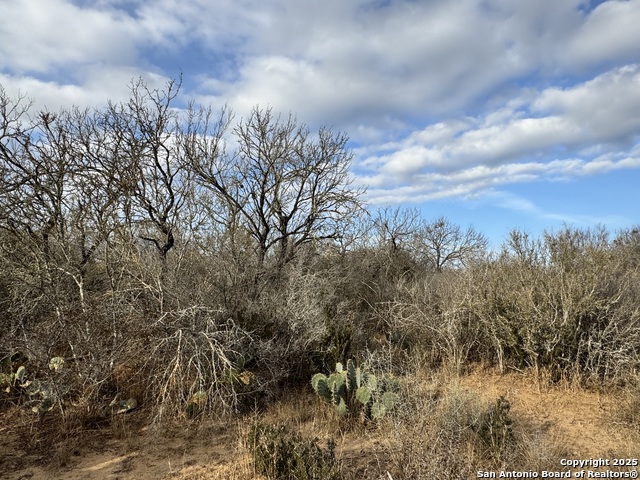 Image 16 of 33 For Tbd County Road 765