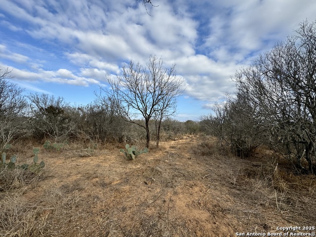 Image 24 of 33 For Tbd County Road 765