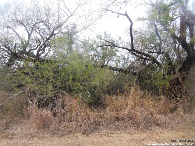 Details for Tbd Fm 1582  , Pearsall, TX 78061