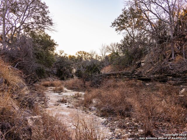 Image 13 of 50 For 6.56 Acres Ranch Road 1623