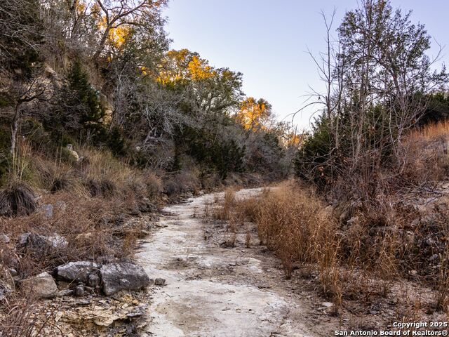 Image 17 of 50 For 6.56 Acres Ranch Road 1623