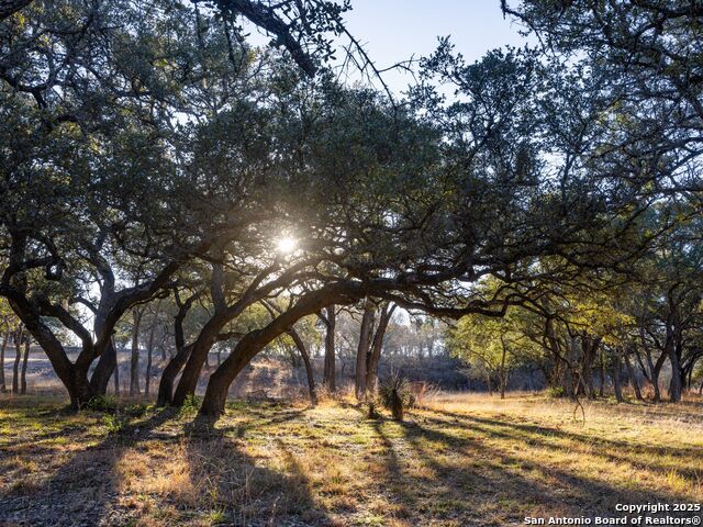 Image 3 of 50 For 6.56 Acres Ranch Road 1623