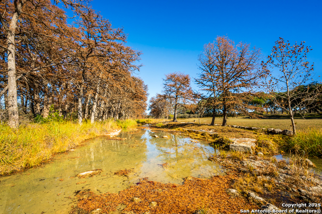 Listing photo id 22 for 950 River Rd