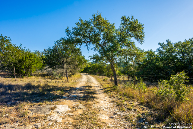 Listing photo id 26 for 950 River Rd