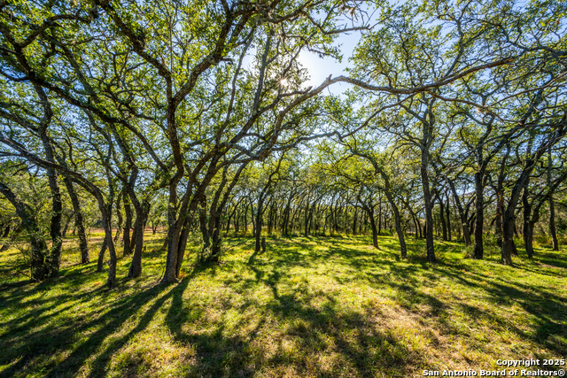 Listing photo id 27 for 950 River Rd