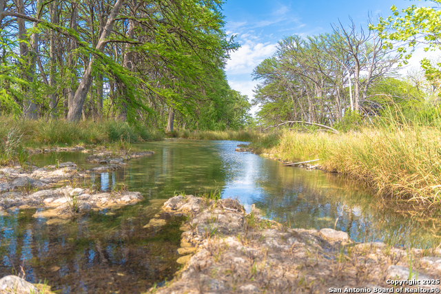 Listing photo id 36 for 950 River Rd