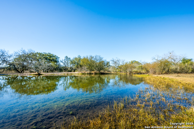 Details for 0 Cr 113  , Pettus, TX 78119