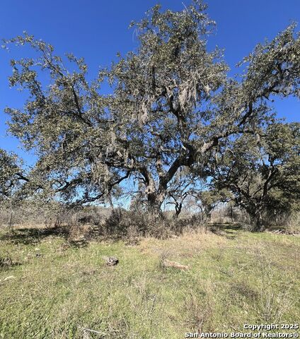 Image 12 of 22 For 9565 Fm 1102