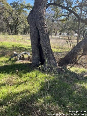 Image 13 of 22 For 9565 Fm 1102