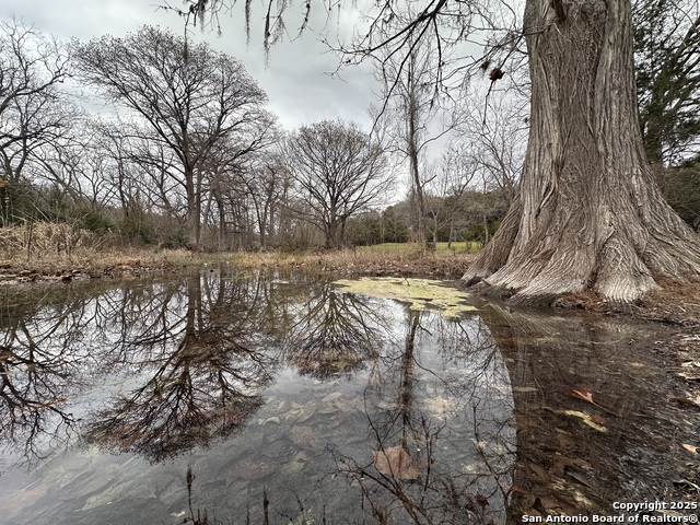 Image 5 of 11 For 165 Blue Bonnet Hill