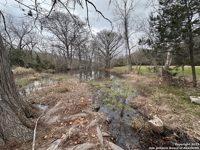 Image 4 of 11 For 181 Blue Bonnet Hill