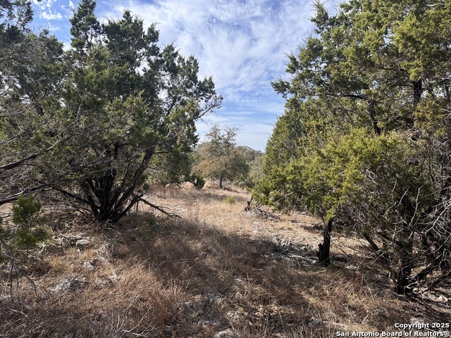 Listing photo id 4 for 350 Iron Hill