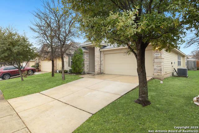 Image 3 of 40 For 8331 White Mulberry