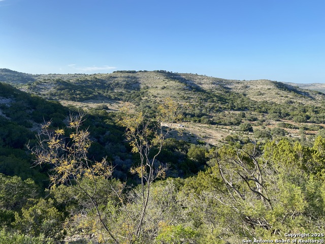 Image 8 of 18 For 22819 State Highway 55, Lot 17