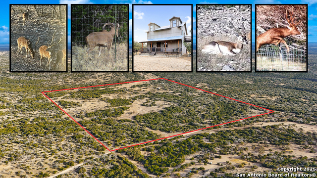 Details for 772 Sd 29150, Rocksprings, TX 78880