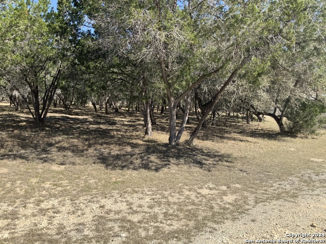 Listing photo id 9 for Lot # 69 Forest Oaks Ln