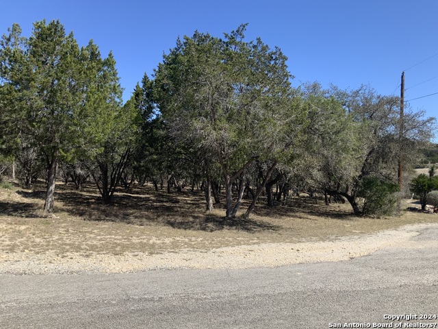 Listing photo id 11 for Lot # 69 Forest Oaks Ln