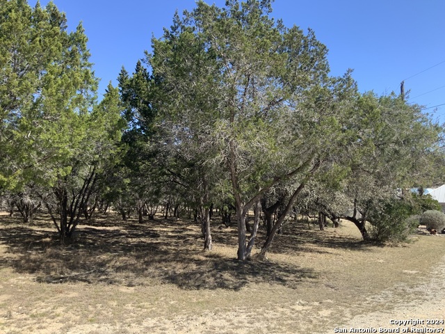 Listing photo id 1 for Lot # 69 Forest Oaks Ln