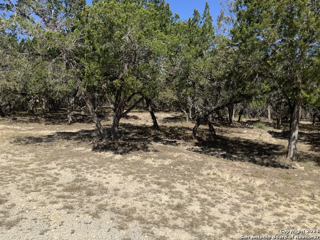 Listing photo id 3 for Lot # 69 Forest Oaks Ln