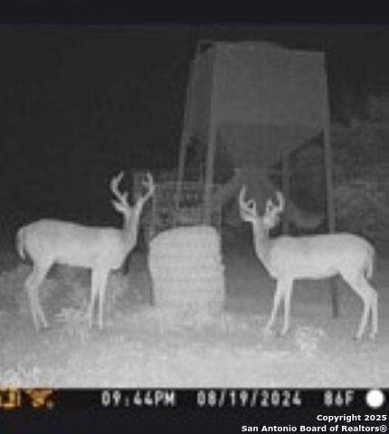 Listing photo id 1 for 527 Sd 74100