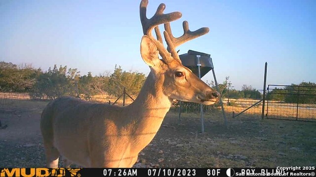 Listing photo id 3 for 527 Sd 74100