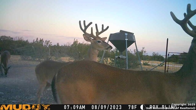Listing photo id 6 for 527 Sd 74100