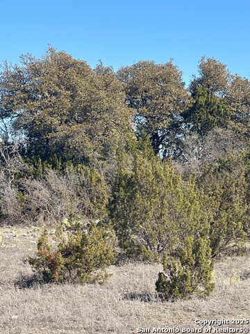 Listing photo id 17 for Tbd Sd74100  