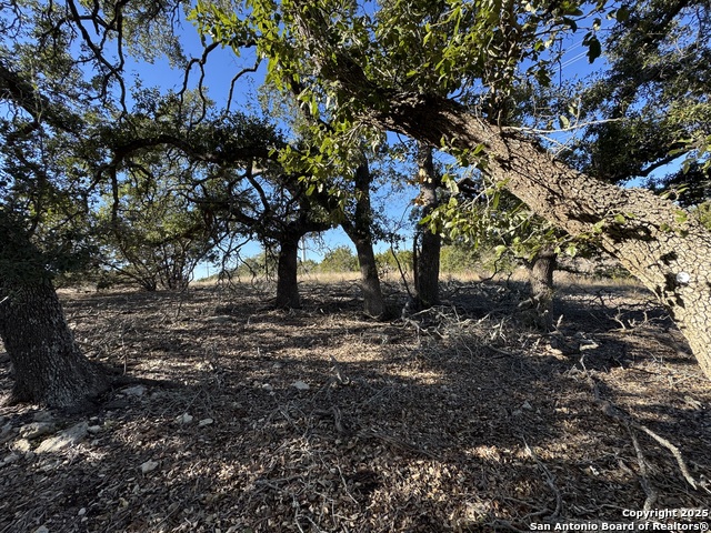 Image 13 of 25 For 639 Butler Oaks