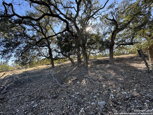 Image 24 of 25 For 639 Butler Oaks