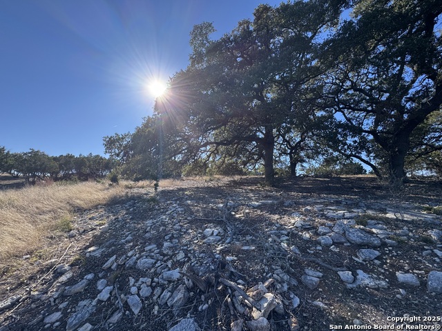 Image 7 of 25 For 639 Butler Oaks