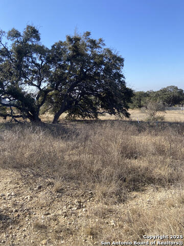 Image 6 of 21 For 713 Fossil Springs Dr