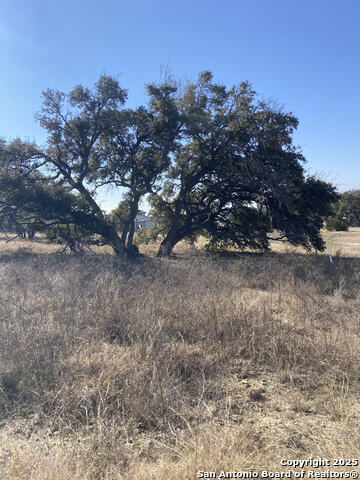 Image 7 of 21 For 713 Fossil Springs Dr