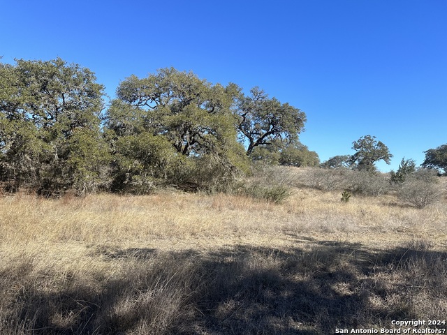 Image 9 of 14 For 1195 Hills Of Bandera Rd