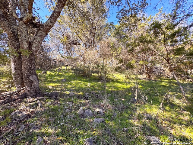 Listing photo id 1 for 3020 Tanglewood Trl