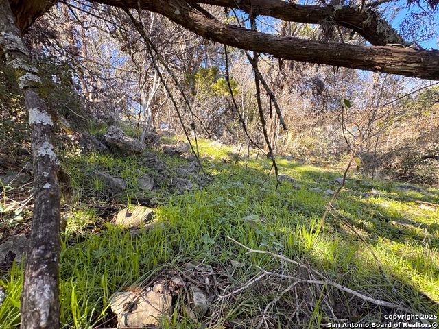 Listing photo id 3 for 3020 Tanglewood Trl