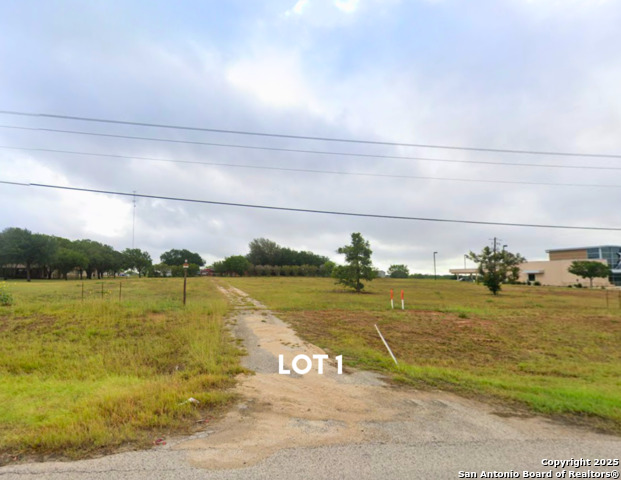 Listing photo id 1 for .96 Ac Lot 2 Us Hwy 181 N