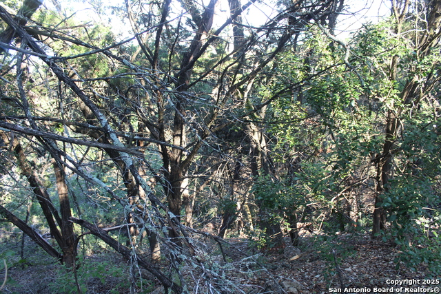 Listing photo id 0 for 879 Deerwood Dr