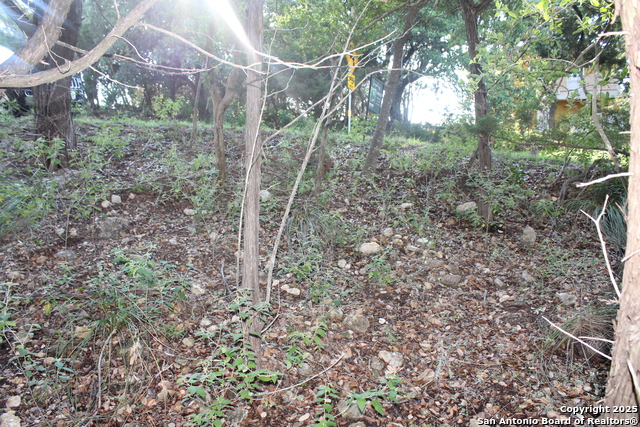 Listing photo id 2 for 879 Deerwood Dr