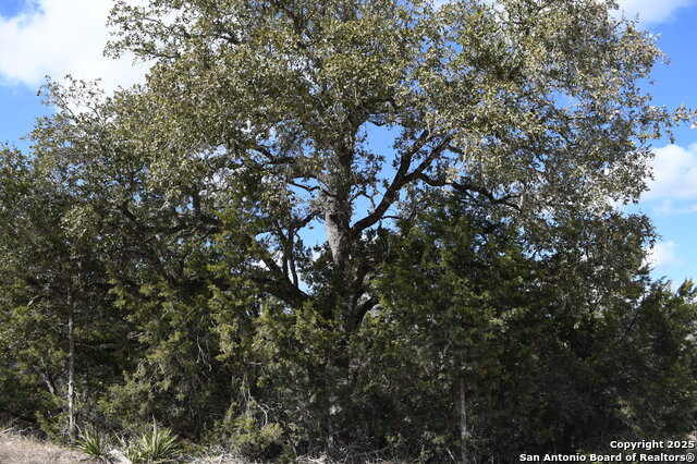 Details for 979 & 987 Deer Valley Pass, Spring Branch, TX 78070