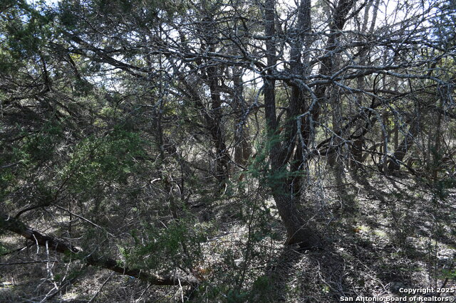 Image 12 of 23 For 979 & 987 Deer Valley Pass