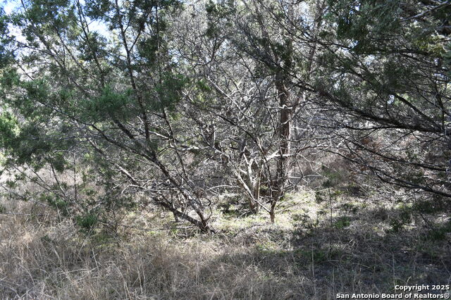 Image 13 of 23 For 979 & 987 Deer Valley Pass