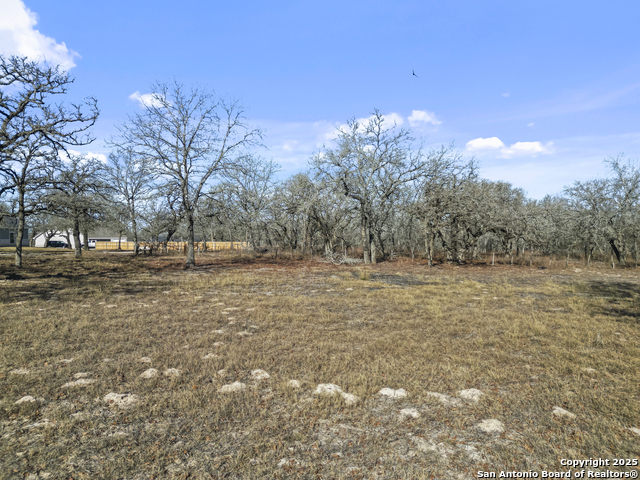 Listing photo id 4 for 161 Hondo Ridge