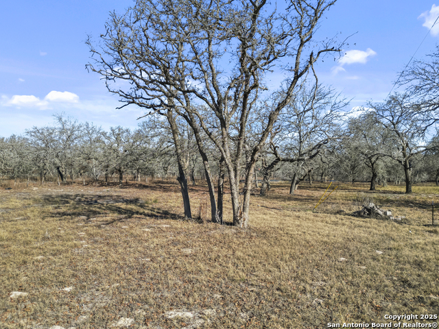 Listing photo id 5 for 161 Hondo Ridge