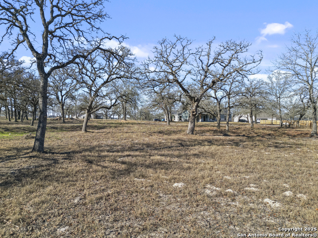 Listing photo id 6 for 161 Hondo Ridge