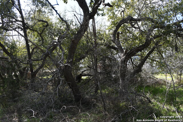 Image 4 of 12 For 1738 Cave Dr