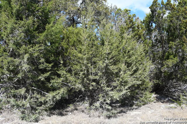 Image 5 of 12 For 1738 Cave Dr