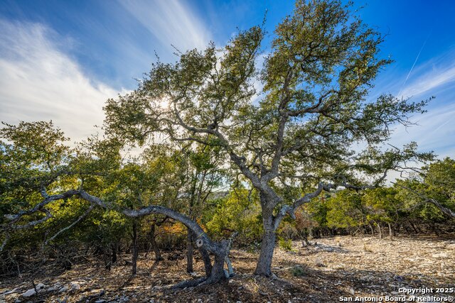 Image 10 of 12 For 216 Heights Trail
