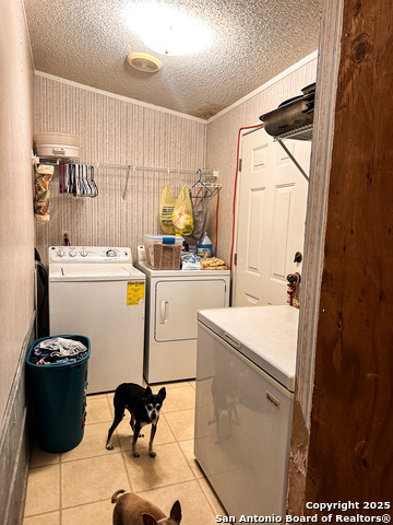 Listing photo id 17 for 348 15th